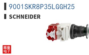 9001SKR8P35LGGH25