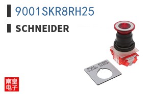 9001SKR8RH25