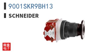 9001SKR9BH13