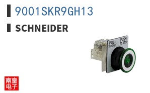 9001SKR9GH13