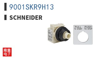 9001SKR9H13