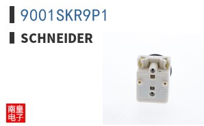 9001SKR9P1