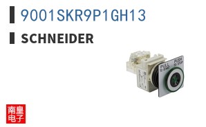 9001SKR9P1GH13