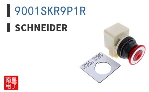 9001SKR9P1R