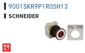 9001SKR9P1R05H13