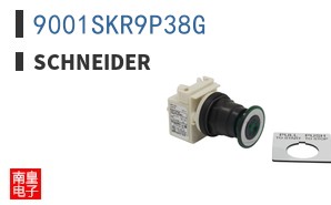 9001SKR9P38G