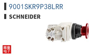 9001SKR9P38LRR