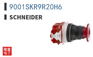 9001SKR9R20H6