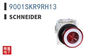 9001SKR9RH13