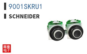 9001SKRU1
