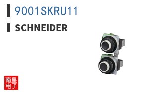 9001SKRU11