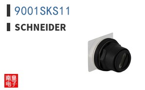 9001SKS11