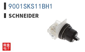 9001SKS11BH1