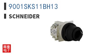9001SKS11BH13