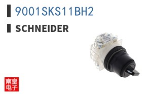 9001SKS11BH2