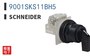 9001SKS11BH5