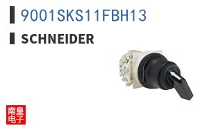 9001SKS11FBH13