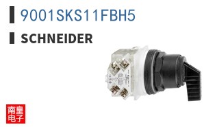 9001SKS11FBH5