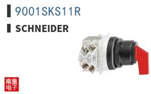 9001SKS11R
