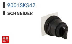 9001SKS42
