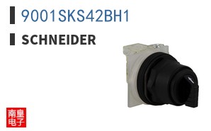 9001SKS42BH1