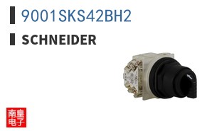 9001SKS42BH2