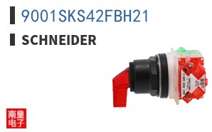 9001SKS42FBH21