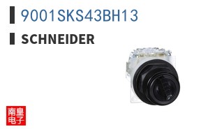 9001SKS43BH13
