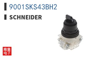 9001SKS43BH2