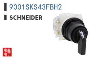 9001SKS43FBH2
