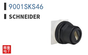 9001SKS46