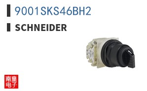 9001SKS46BH2