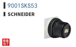 9001SKS53