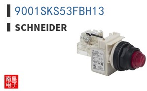 9001SKS53FBH13