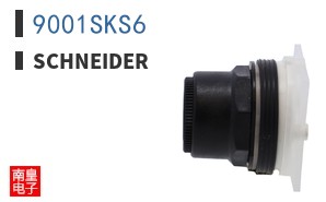 9001SKS6