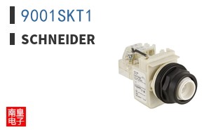 9001SKT1