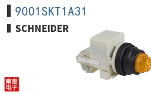 9001SKT1A31