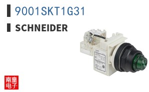 9001SKT1G31