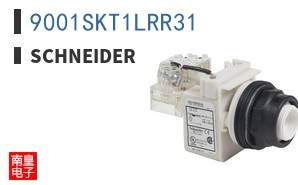 9001SKT1LRR31