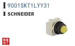 9001SKT1LYY31