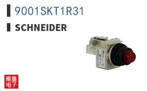 9001SKT1R31
