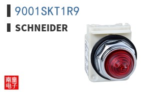 9001SKT1R9