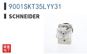 9001SKT35LYY31