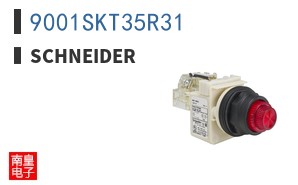 9001SKT35R31