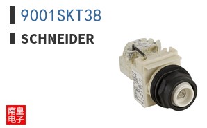 9001SKT38