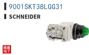 9001SKT38LGG31