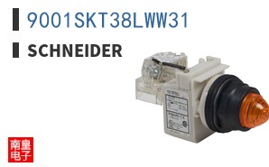 9001SKT38LWW31