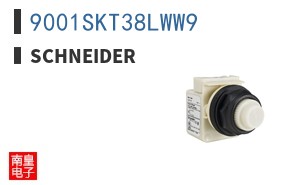 9001SKT38LWW9