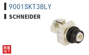 9001SKT38LY