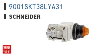 9001SKT38LYA31